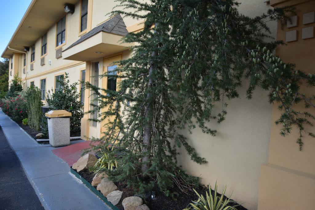 Super 8 By Wyndham Sulphur Extérieur photo